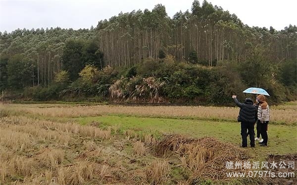 秦皇岛市陈老师带着爱徒寻龙点穴